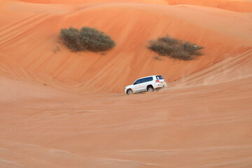 SUV tour at the Wahiba Sands, Sultanate of Oman