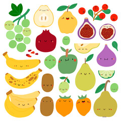 Super cute vector collection of hand drawn fruits. Seasonal fruits set. Autumn fruits characters - grape, quince, banana, kiwi, pear, fig, apple, persimmon, pomegranate, cranberries