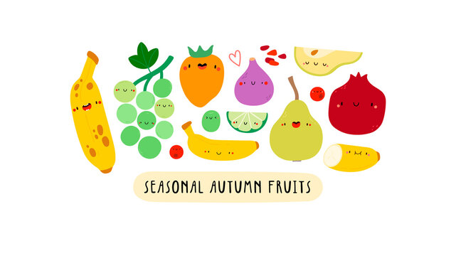 Cute illustration with Seasonal Autumn Fruits on a white background. Cartoon food characters - Banana, Grapes, Lime, Kiwi, Persimmon, Fig, Quince, Cranberries. Healthy fruits banner