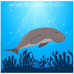 Badezimmer Foto Rückwand vector illustration dugong swimming under the sea with algae animal conservation © Aphichai