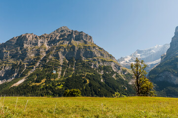 Grindelwald, Schreckhorn, Pfingstegg, Mettenberg, Unterer Grindelwaldgletscher, Alpen, Berner Oberland, Wanderweg,  Bergwiesen, Landwirtschaft, Bergdorf, Bergbahn, Sommer, Schweiz