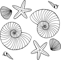 Hand drawn vector illustrations - patterns of seashells. Marine background. For print and web.