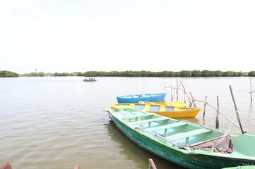 A view of a multicolor boat on the wooden deck waiting for tourists to explore the mangrove forest at Pichavaram.