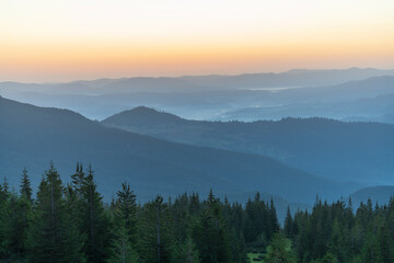 Fototapeta na wymiar Green fir trees against the background of the Carpathian mountains before dawn in the summer. Ukraine
