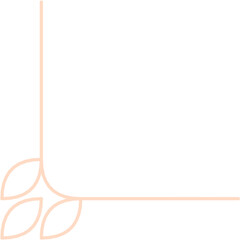 Aesthetic Border Corner Line