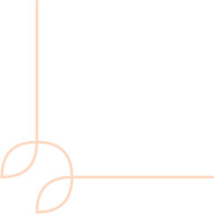 Aesthetic Border Corner Line