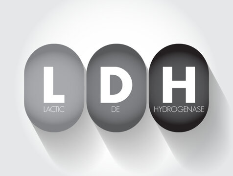 LDH lactic dehydrogenase - enzyme found in almost all body tissues, acronym text concept background