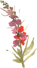 Wildflower Watercolor Illustration
