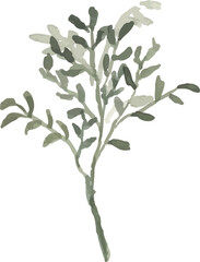 Leaves Watercolor Illustration