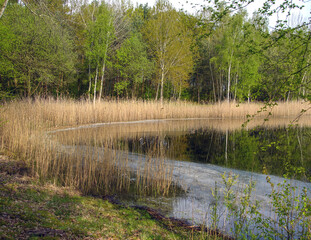 Am Kramersee bei Mantinghausen