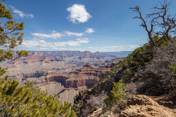 View of the Grand Canyon from the South Rim on a sunny day in April