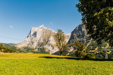 Grindelwald, Wetterhorn, Grosse Scheidegg, Oberer Gletscher, Schreckhorn, Alpen, Berner Oberland,...