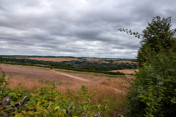 Kent, England, UK garden, August in the UK