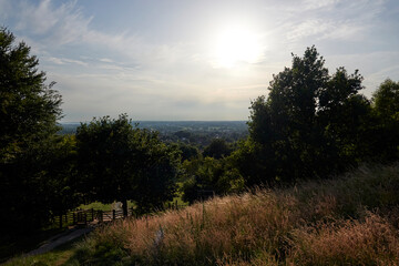View from the Glastonbury Tor, mid-summer in the UK