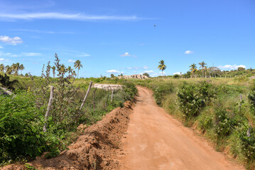 Fototapeta na wymiar path in the field,Araruna, Pb, Paraíba, Brazil, brazilian trails, travels in brazil, northeastern brazil