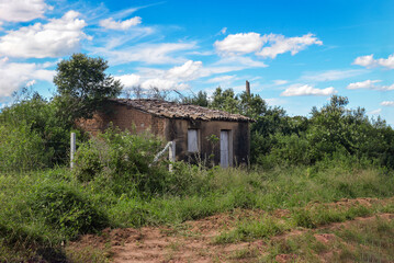 abandoned house in the countryside,  Araruna, Brazil, houses in northeastern Brazil, little house in the woods, humble house