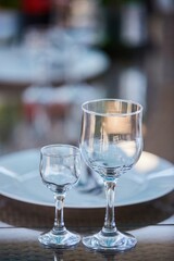 Crystal glasses for newlyweds wedding, decorated for the holiday.