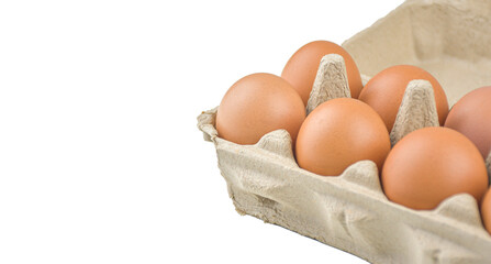 Selected focus Fresh and appetizing eggs are packed in egg cartons. put on a white background