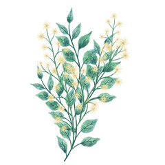 Watercolor floral BOUQUETS png with transparent background