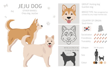 Obraz na płótnie Canvas Jeju dog clipart. Different coat colors set