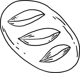 doodle freehand sketch drawing of bread. 