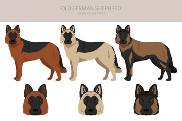 Old German Shepherd dog clipart. Different coat colors set