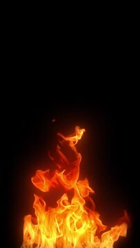 Vertical video of flames over a black background. This video loops seemslessly.
