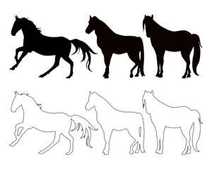 Black silhouettes of horses. Vector illustration of horses, silhouettes on a white background