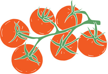 doodle freehand sketch drawing of tomato vegetable. 
