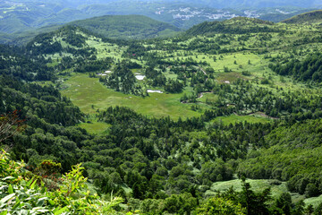 Obraz premium 群馬県吾妻郡中之条町 渋峠からの芳ヶ平湿原
