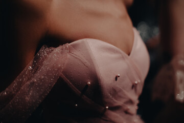 An Elegant Detail Of An Evening Pink Designer Dress On A Female Figure