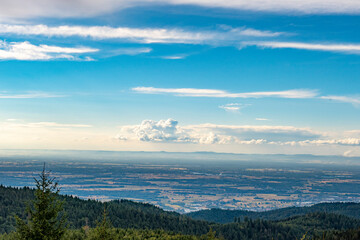 Foresta Nera (Germania)