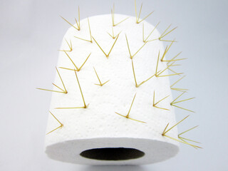    Toilet paper with a thorn on a white background. Hemorrhoids concept                                      