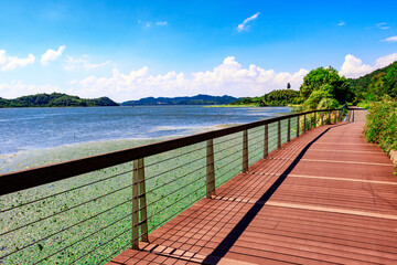 wooden bridge over lake