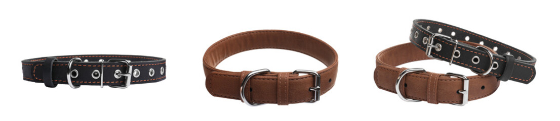 Set with different leather dog collars on white background. Banner design