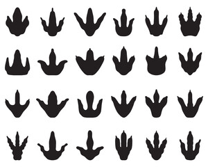 Black footprints of dinosaurs on a white background	