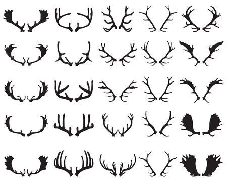 Black silhouettes of different deer horns on a white background	