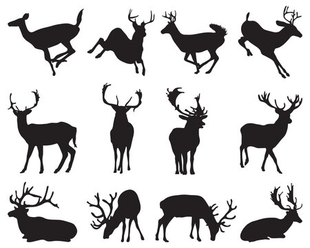 Graphic black silhouettes of wild deers on a white background	