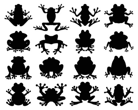 Black silhouettes of frogs on a white background	