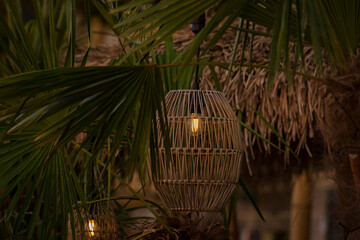 Latarenka ( lampion)  z elektrycznej lampy led , wiszący wśród palm pod dachem krytym strzechą  - obrazy, fototapety, plakaty