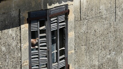 An old window of an old building in Aigues-Mortes, Gard, France