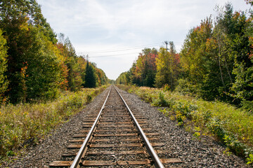 railway in the forest