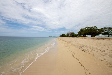 Caribbean beach with fine white sand, clear sea and coconut trees. Paradise for winter and summer holidays, warm and sea for tourists in cuba. Cuban beach with palm trees and natural wild vegetation