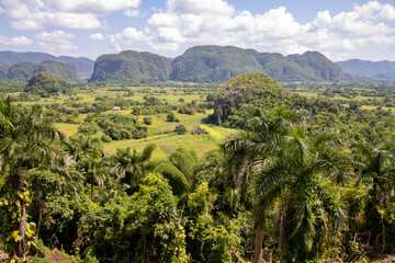 Vinales Valley in Cuba popular tourist attraction site in Pinar del Rio Province, Cuba