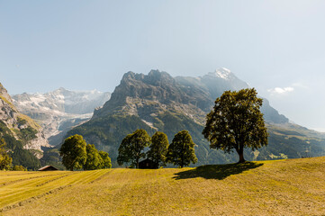 Grindelwald, Eiger, Eigernordwand, Alpen, Berner Oberland, Unterer Grindelwaldgletscher, Kleine...