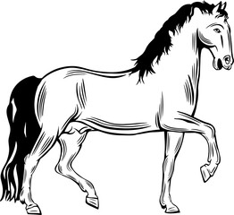 Horse trotting forward, outline vector illustrations design 