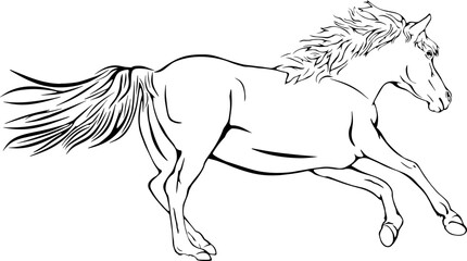 Horse galloping, outline hand drawing vector illustrations design 