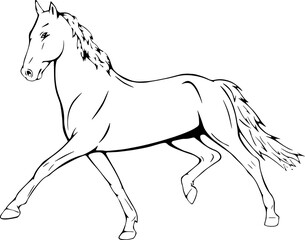 Running horse, outline vector illustrations design 