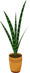 Vector illustration. Sunseveria green with light stripes on the leaves in a sand-colored pot. Isolated object on white background. Flet, succulent, indoor plant, flower pot, sansevieria. © DigitalChestNLar