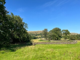 Rural landscape near, Wood Lane, with fields, dry stone walls, and distant hills near, Austwick, UK